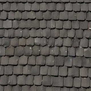 pictures of shingles