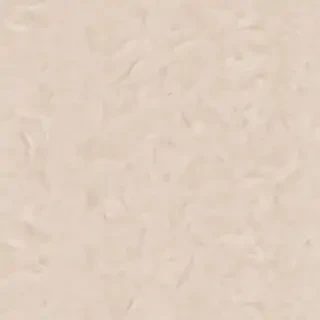 neutral aesthetic wallpaper