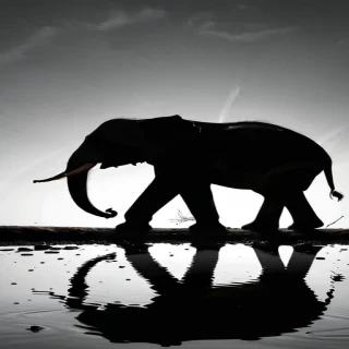 elephant silhouette