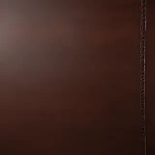 leather background