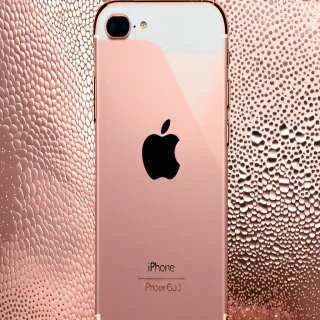 wallpaper for rose gold iphone