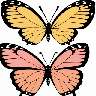 butterfly clipart png