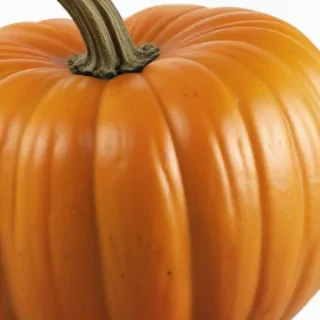 pumpkin png