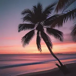 aesthetic palm tree wallpaper