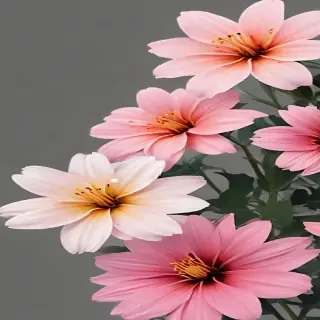 aesthetic flower png