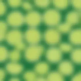 lime green background