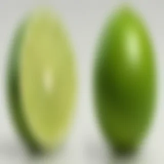 lime png
