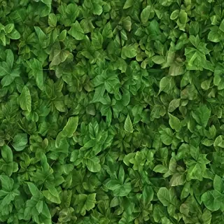 leaves png transparent