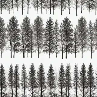 trees transparent