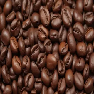 coffee bean png
