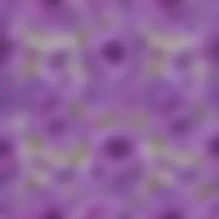 purple flowers png