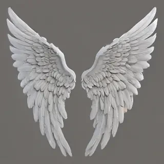 png angel wings