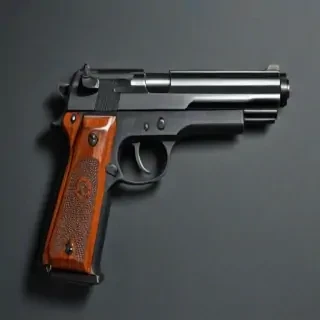 gun no background