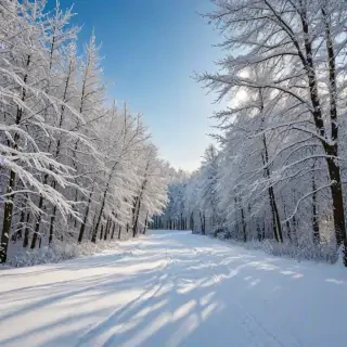 winter zoom background