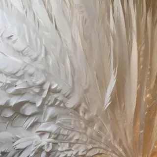 feather design