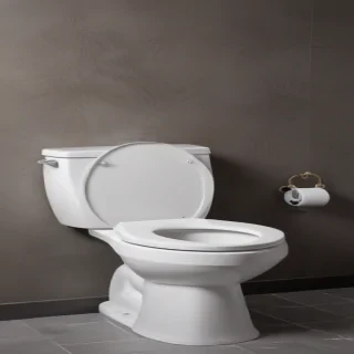 toilet png