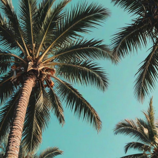 aesthetic palm tree wallpaper
