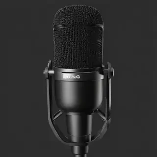 microphone png transparent