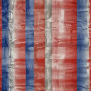 france flag