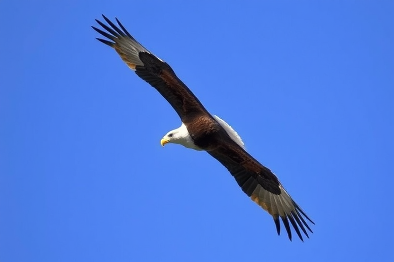 capture a soaring eagle in mid-flight against a clear blue sky, using a DSLR camera with a 300mm lens, f/5.6 aperture, ISO 400, shutter speed 1/1000s, shot from a low angle for dramatic effect, with vibrant colors and sharp details, ensuring a high dynamic range and depth of field