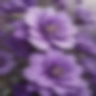 purple flowers drawing