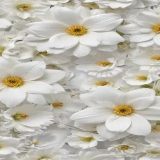 flower background white