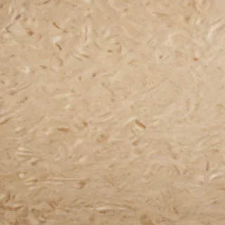 grain paper texture