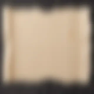 paper ripped png