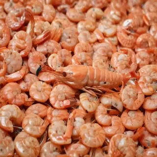 shrimp png