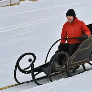 sleigh