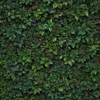 plant backgrounds