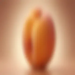 light peach background