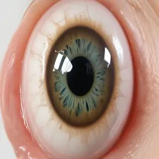 eyeball png