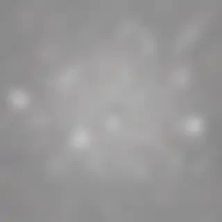 white sparkle png
