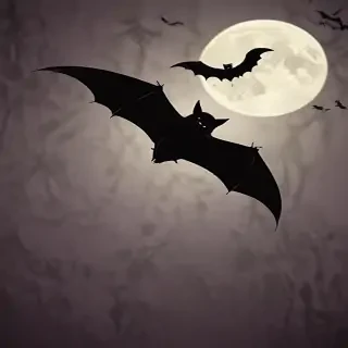 images of halloween bats