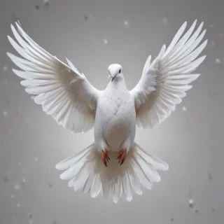 dove png