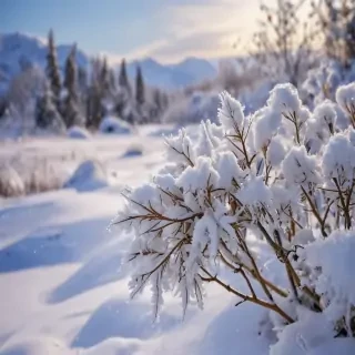 snow iphone background