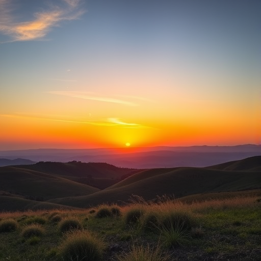Create a high-resolution image of a serene landscape featuring rolling hills and a vibrant sunset in the background, using a DSLR camera with a 50mm lens at f/2.8, ISO 200, and a shutter speed of 1/200 sec, shot from a low angle to capture the foreground details and emphasize the expansive sky.