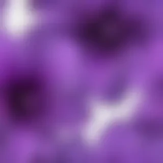 purple flower png