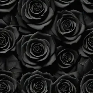 black roses background