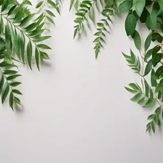 white and greenery background