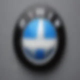 bmw logo