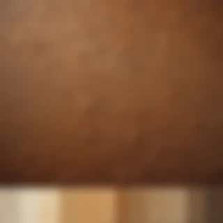 shades of brown