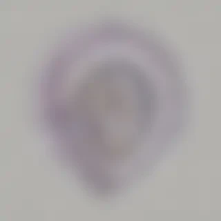 paisley png
