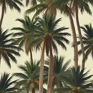 palm tree background