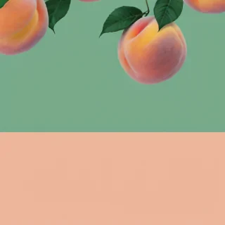 peach background wallpaper