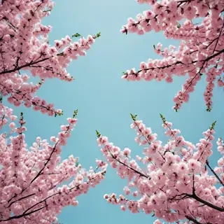 spring wallpaper aesthetic