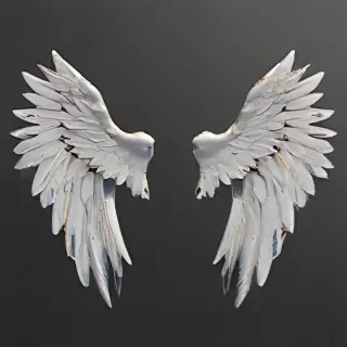 angle wings png