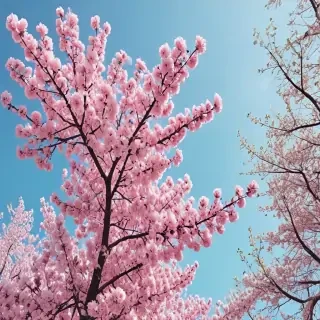 spring backgrounds aesthetic