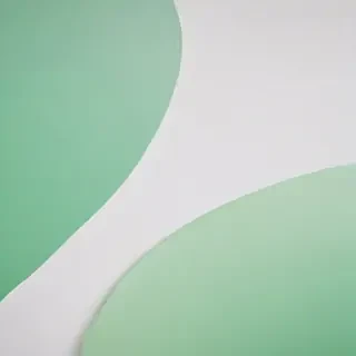 white and green background